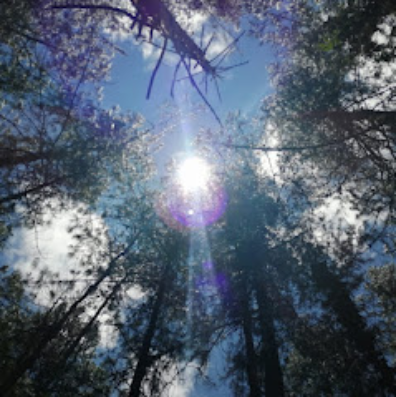 terapia sananda reiki en medellin y santa elena